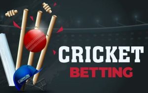 play cricket online